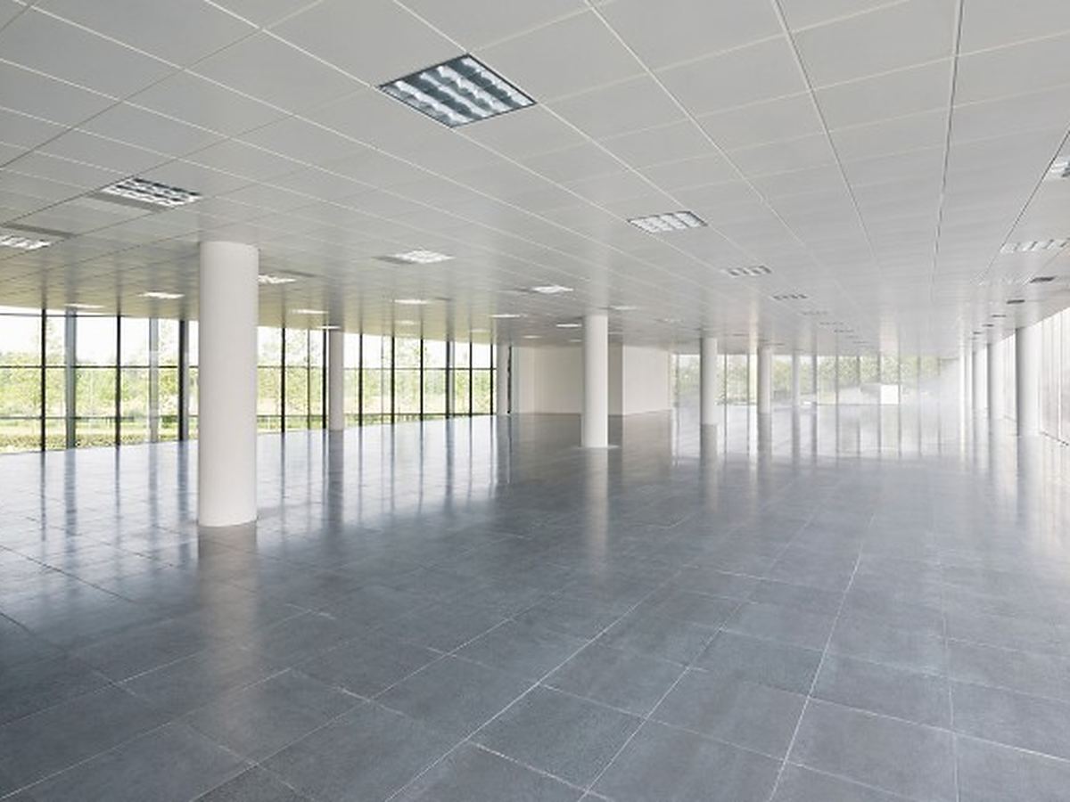 Vaciado de oficinas en Salamanca Planta de oficinas diáfana y vacía, con pilares blancos y ventanales corridos